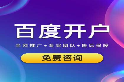 竞价端口开户后的广告投放策略案例